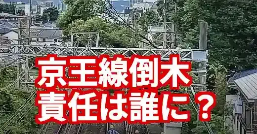 京王線倒木、所有者は誰？ウチの木は大丈夫？法的責任と対策を徹底解説
