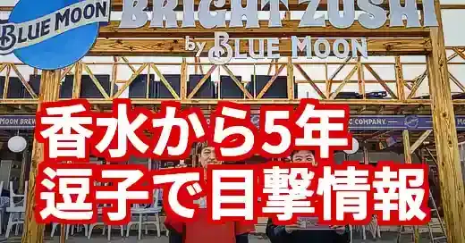【2025年】瑛人が逗子海の家『弥栄』に！香水から5年、現在の活動と家族の今