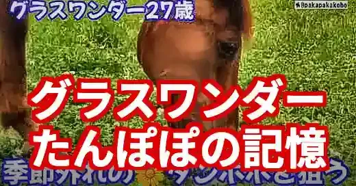 グラスワンダーとたんぽぽ、天国へ。愛され続けた記憶の真相