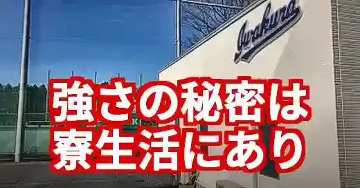 岩倉高校野球部寮を徹底解剖！夢追う球児の生活と入寮条件