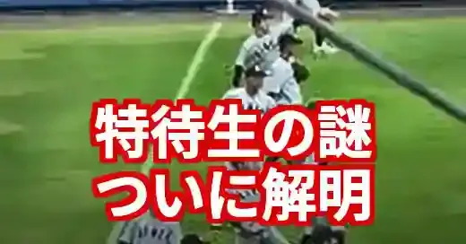【謎多き】叡明高校野球部特待生の全貌！甲子園目前の強さの秘密