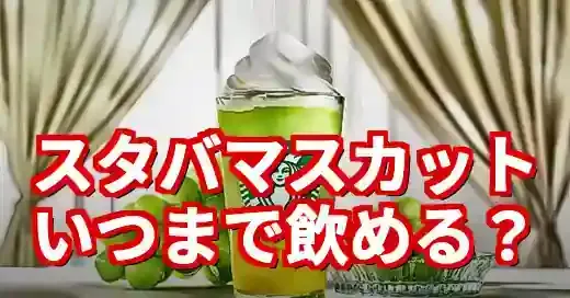 【スタバ マスカットはいつまで？】完売前に飲むべき理由と神カスタム