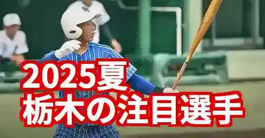 【2025夏】栃木県高校野球の注目選手！ドラフト候補を独自分析
