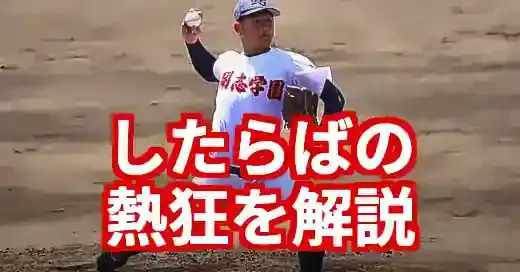 新潟県高校野球したらばの教科書！熱狂と情報を120%活用術