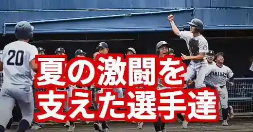 有明高校野球注目選手！2025年夏の激闘を支えたヒーロー達