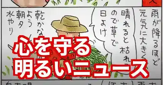 もう暗いニュースは見ない！2025年を照らす明るい話題と心の守り方