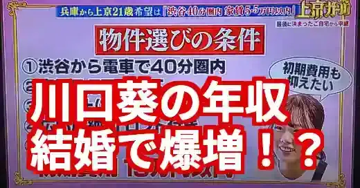 川口葵の年収を徹底考察！結婚後の爆増は本当？活動歴から分析