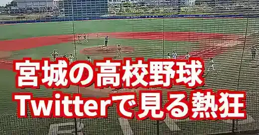 【高校野球 宮城 ツイッター】仙台育英の優勝で沸くSNS！ファンの声で楽しむ夏