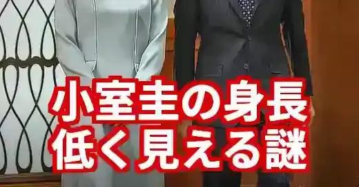 小室圭の身長が低く見える謎を解明！写真とネットの声で徹底検証