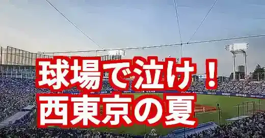 【2025年版】西東京高校野球の球場ガイド！アクセス・観戦完全攻略