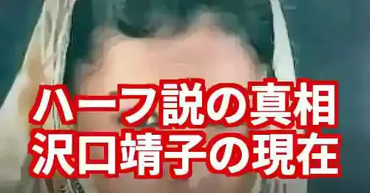 沢口靖子ハーフ説の真相は？純日本人としてのルーツと今後の挑戦
