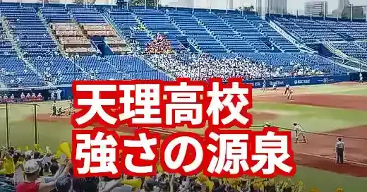 【2025最新】天理高校野球部出身中学一覧！強さの源泉と歴代OBの原