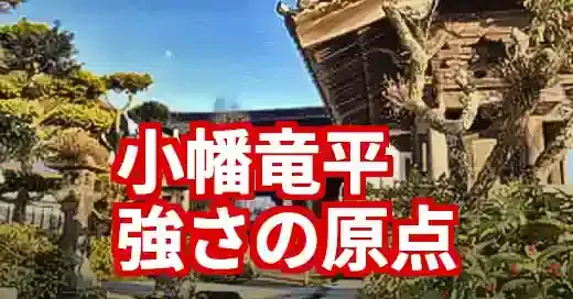 小幡竜平の実家は大分！野球一家の熱い絆とルーツを深掘り