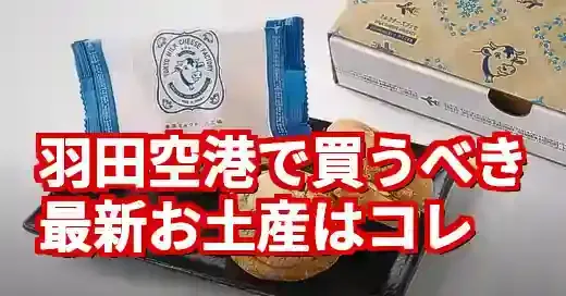 【2025年最新】羽田空港のお土産決定版！限定品から賢い買い方まで