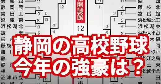 2025年静岡の高校野球強豪校！公立vs私立の勢力図を解説