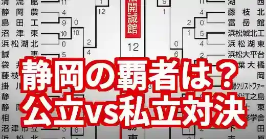 【2025夏】高校野球静岡の強豪は？公立vs私立の勢力図を徹底解説