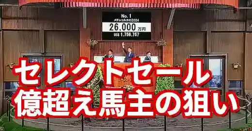 セレクトセール2025購買者番号から読む！億超えオーナーの深層戦略