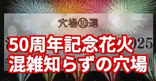 【2025年版】江戸川区花火大会の穴場10選！混雑回避の裏ワザ