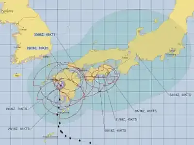 台風 米軍：気象庁・欧州予報との精度比較と賢い活用法