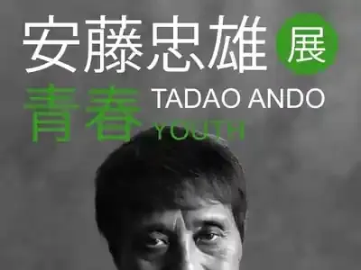 安藤忠雄展『青春』2025完全ガイド！巡回・チケット・グッズ＆混雑回避術✨