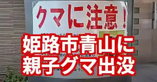 【速報】姫路市青山に熊!星の子館近くの目撃情報と詳細な対策